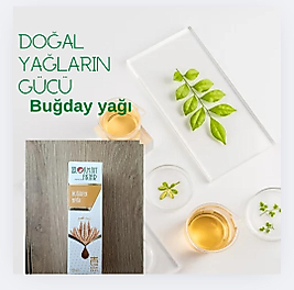 Buğday yağı